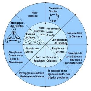 pensamento sistemico